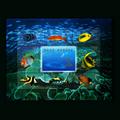 1998-29 海底世界•珊瑚礁观赏鱼（小型张）