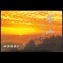 YP15 黄山邮资明信片（A组）