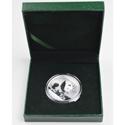 2016年30g熊猫银质纪念币 带盒